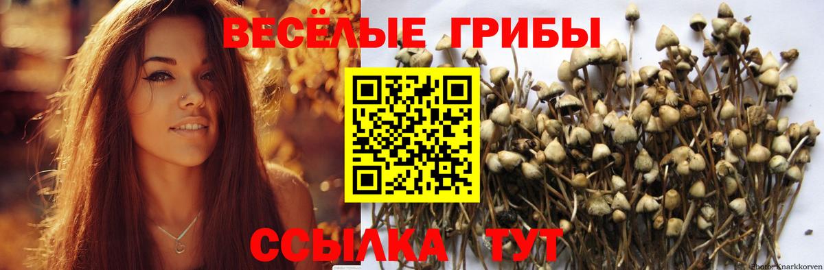 Фурманов  Галлюциногенные грибы MAGIC MUSHROOMS  купить наркотик  Вход с VPN 